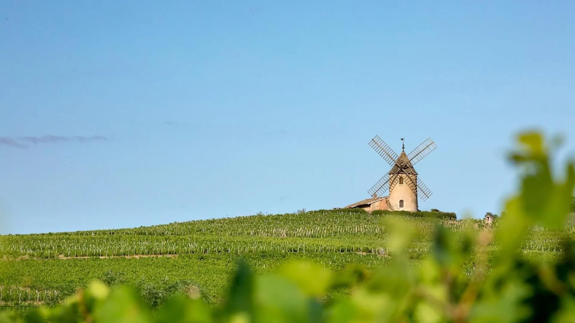 Moulin A Vent Studio Cosy Lancie 0*,  France